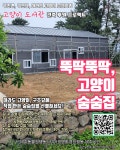 제주 고양이도서관 건축 후원 프로젝트 숨숨집 만들기 