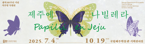 광복 80주년 제주에 나빌레라, 석주명 특별전 열린다