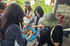 화려한 관광지 벗어나...마을 골목길에서 마주한 진짜 제주의 속살