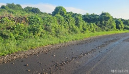 두 차례 민원에도 방치…제주서 타이어 파손 사고에 운전자 아찔