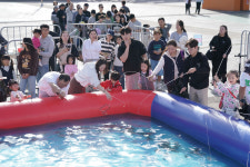 서귀포수협 슛~할인! 수산물 상생 할인 성황리 마쳐