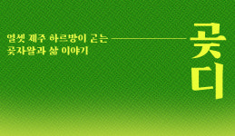 법인덕수곶자왈카페 | 곶자왈에 새겨진 제주인의 삶, 열셋 하르방 이야기 '곶디'