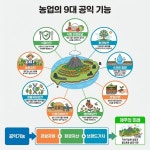 이재명 정부 '5극 3특', 제주가 다시 선도해야한다