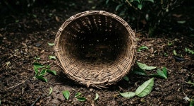 법적 요건도 못 갖췄다?...들통난 제주 영농조합법인 파행