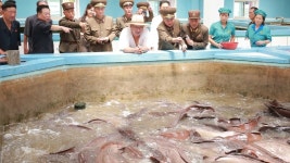 미 국가지리정보국 “북한, 단백질 공급원 확대 성과 불분명…농장 현대화도 진전 없어”