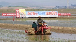 상반기 북한 대중 쌀 수입액 전년의 10분의 1로 급감