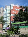 이 시기에 산부인과 확장…저보고 신기하다 그래요