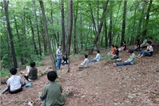 직무스트레스, 휴양림에서 치유한다