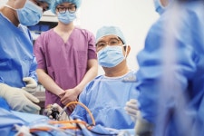 인터뷰 김필성 서울필병원장 치료 완결은 환자의 만족입니다