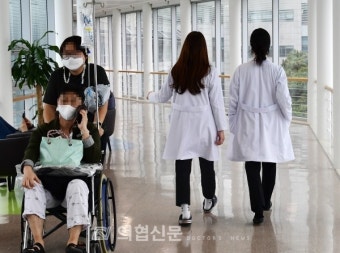 사직 전공의 미국 진출 추천서 못 써줘? 
