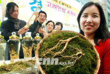 이게 바로 화순 명품 ‘산양삼’이구나