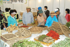 氣가 쑥쑥…제천으로 ‘한방 웰빙여행’