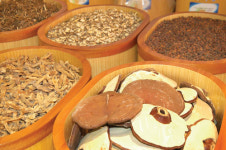 氣가 쑥쑥…제천으로 ‘한방 웰빙여행’