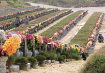 [포커스 추천 프로그램] 해양장, 자연장 등 ‘新장묘’ 사연 밀착취재 外