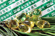 ‘백두산 솔잎’으로 만든 건강식품 출시