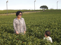 [Focus 독자의 소리] 박미희·김인주·김현정·이병선·신성춘