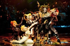 야옹~ CATS 추억을 남겨요 ‘찰칵’