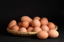 “즐거운 단풍놀이…계란 빠지면 섭섭”