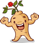 따뜻한 인삼차에 피로가 ‘사르르’