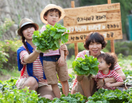 상추 직접 키워보며 흙이 주는 행복 느껴요