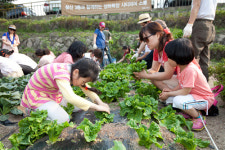 상추 직접 키워보며 흙이 주는 행복 느껴요