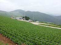 [Focus 독자의 소리] 이정태·송영주