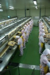사조산업, 참치캔 가공공장 해썹 (HACCP) 인증 획득