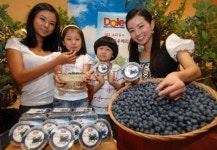 돌 코리아 유기농 블루베리 농장이 백화점에 떴다~