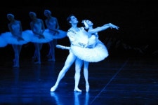 지상 최고의 발레 ‘백조의 호수’가 왔다