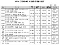 분당 정자동 아데나팰리스 164㎡ 11억6천만원에 공매