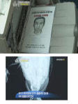 동물농장 공개수배 동물학대견 황구…네티즌 이번엔 처벌 받아야