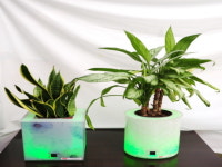 <미래의 농어촌> 도시농업에도 IT 바람 솔솔