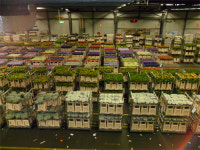 [특별기획] 선진 농업, 그 현장을 가다