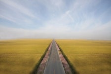 “벼 베고, 탈춤 추고, 세계의 공연까지...가을축제를 즐기세요”