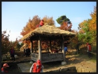 호수공원 전통정원 초가지붕 교체