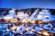 비발디파크, 개장앞두고 고객서비스 증대에 주력