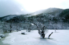 <출사여행> 雪來는 겨울 출사 여행-①