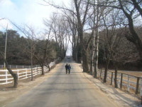 세계문화유산 서삼릉을 따라