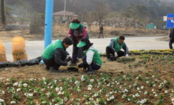 양평군 서종면, 봄 손님맞이 바쁘다~ 바뻐