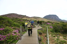 봄이 왔어요~, 등산객들 한라산 등반 잇따라