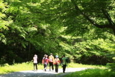 ‘편백숲에서 만나는 푸르름, 건강 그리고 정, 장성축령산휴양림