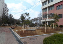 김포 양곡고등학교 학교 숲 조성 완료