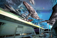 꿈의 고래가 하늘 위에… 여수 엑스포디지털갤러리 선봬