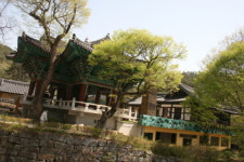솔바람 불어오는 초여름의 계룡산 산사 풍경