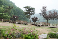 <6월추천여행⑥>별이 넘쳐나는 캠핑장, 충주 밤별캠핑장