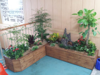 파주시, 초중고 미니 실내정원·수경재배기 설치 신청 접수