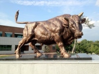 경북대학교 수의과대학, 칡소동상 설치