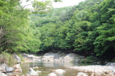 뱀사골 완주마을 비경이 가득한 남원