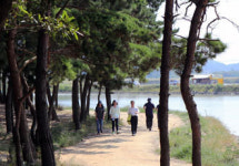 경기도,우리마을 녹색길 9월 완공하여 개통