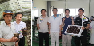 G마켓, G마켓이 간다 통해 오징어·장어 할인 판매